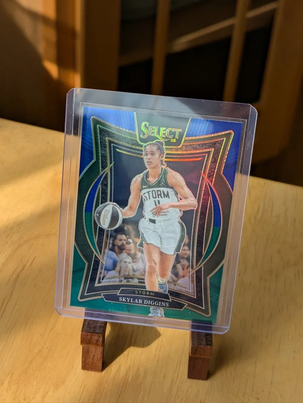Panini near mint